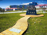 鹤壁天华矿业集团